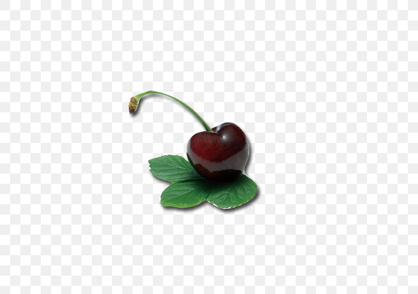 Cherry Berry Fruit Auglis, PNG, 576x576px, Cherry, Auglis, Berry, Black Cherry, Cerasus Download Free