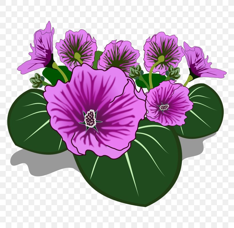 Flower Drawing Clip Art, PNG, 800x800px, Flower, Annual Plant, Color, Cut Flowers, Digital Image Download Free