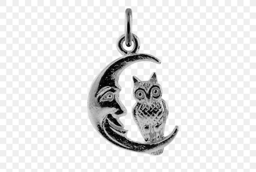 Owl Locket Silver Body Jewellery, PNG, 550x550px, Owl, Bird, Bird Of Prey, Body Jewellery, Body Jewelry Download Free