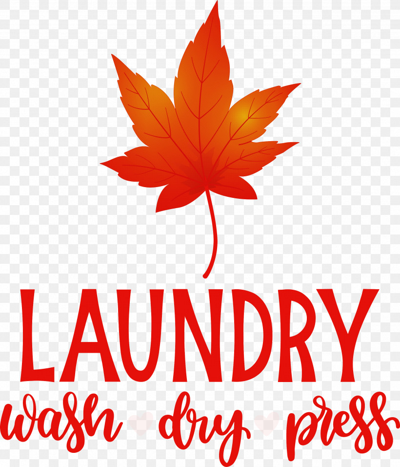 Laundry Wash Dry, PNG, 2571x3000px, Laundry, Biology, Dry, Flower, Geometry Download Free