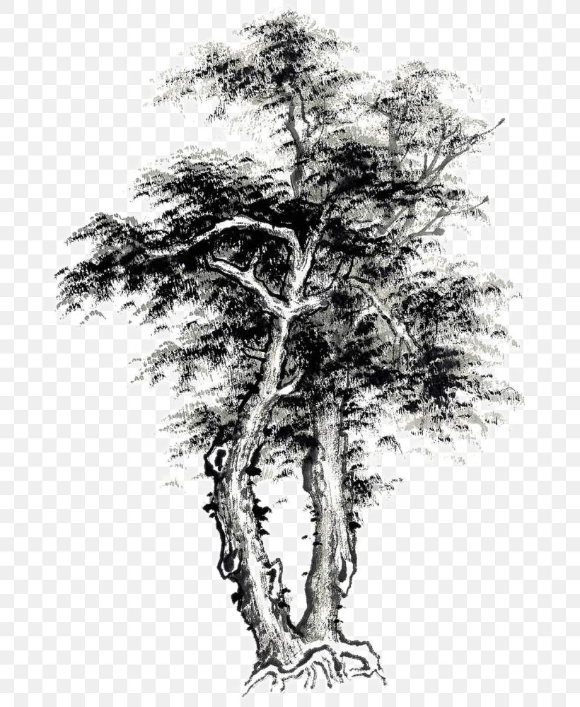Manual Of The Mustard Seed Garden Drawing Ink Wash Painting, PNG, 681x1000px, Manual Of The Mustard Seed Garden, Art, Black And White, Branch, Conifer Download Free