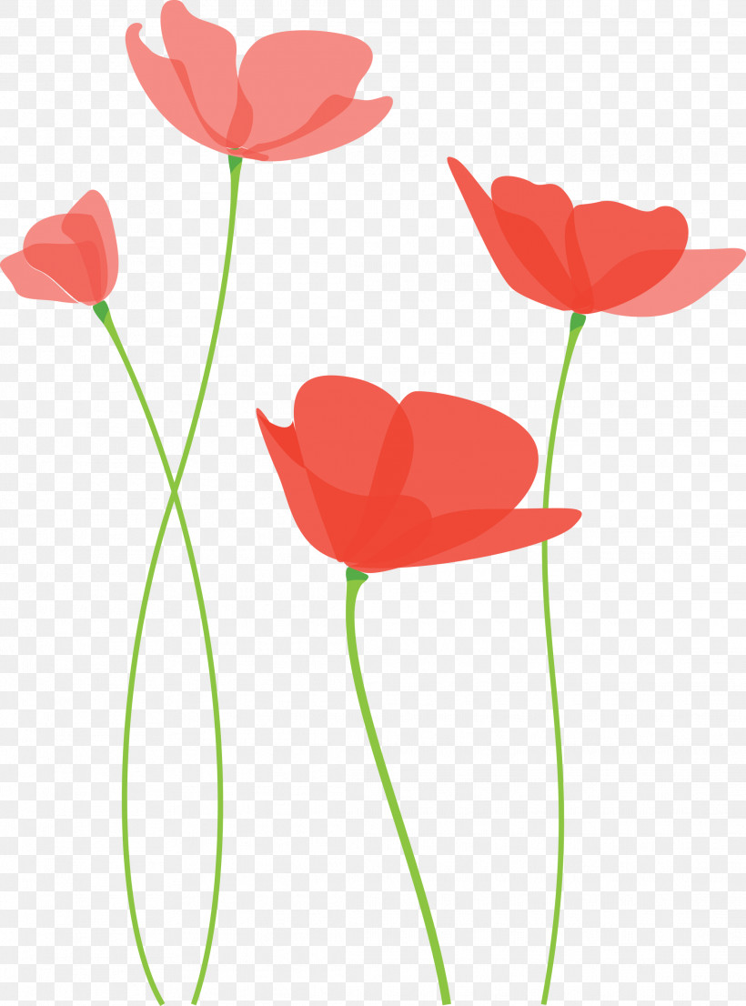 Poppy Flower, PNG, 2224x3000px, Poppy Flower, Anthurium, Coquelicot, Corn Poppy, Flower Download Free