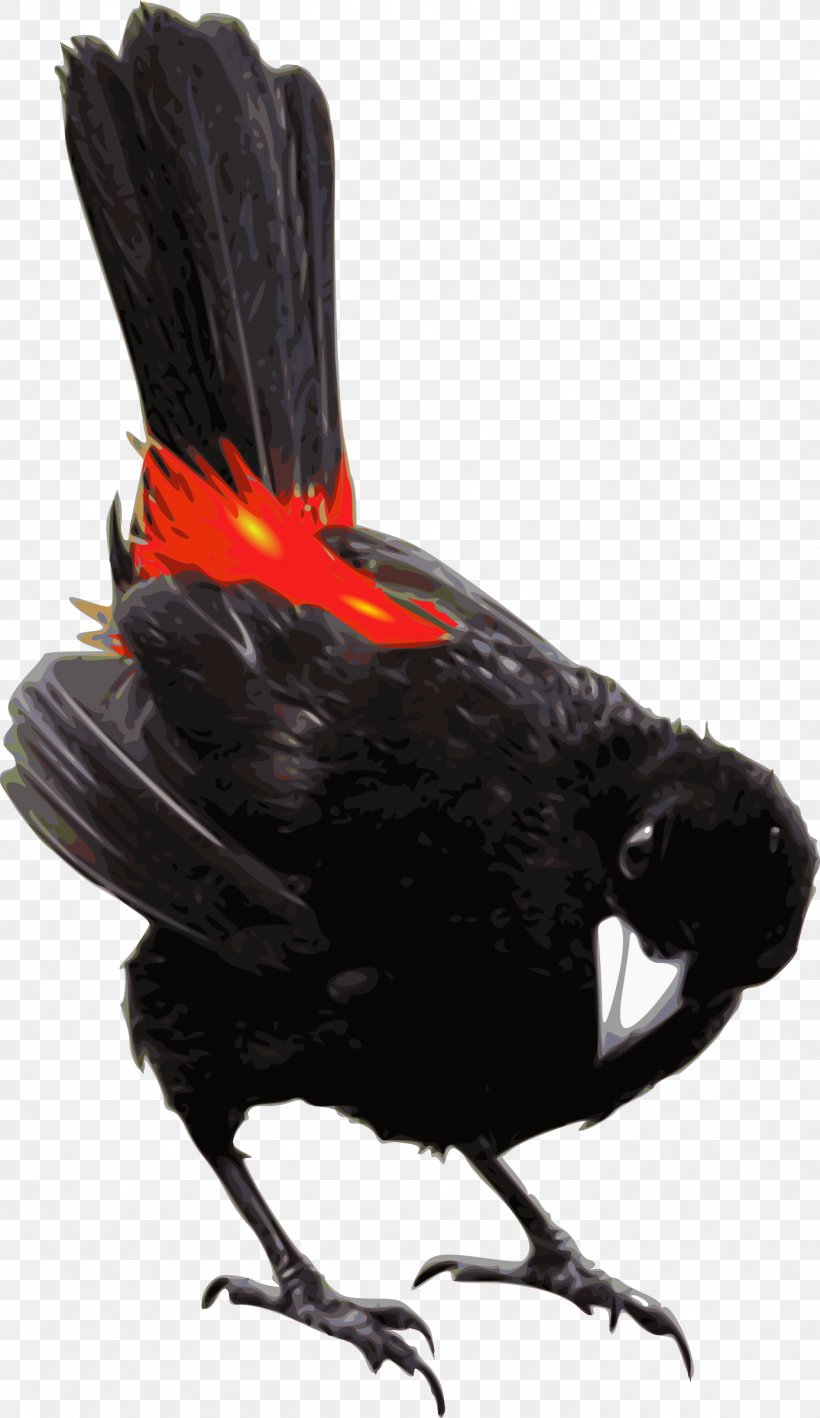 Bird Passerini's Tanager Scarlet Tanager Galliformes Beak, PNG, 1387x2400px, Bird, Beak, Birds, Chicken, Feather Download Free