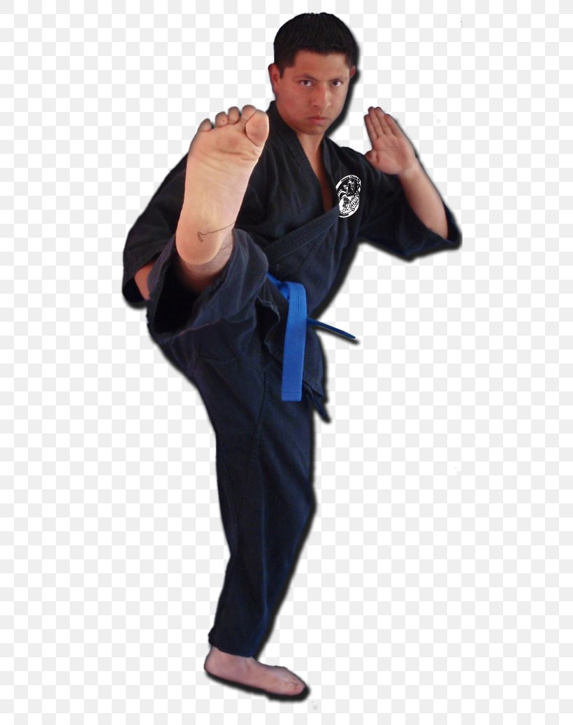 Dobok Kuk Sool Won Hapkido Kenpō Shoulder, PNG, 504x1037px, Dobok, Arm, Costume, Hand, Hapkido Download Free