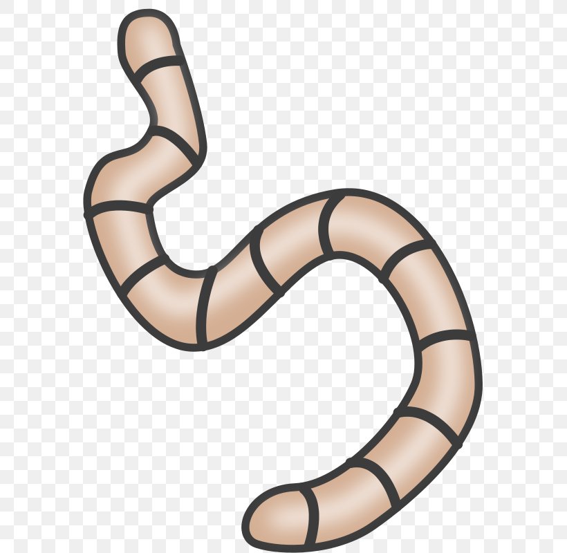 Earthworm Clip Art, PNG, 582x800px, Worm, Earthworm, Free Content, Pinworm, Public Domain Download Free