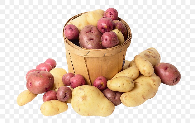 Fingerling Potato Yukon Gold Potato Competition Superfood, PNG, 704x519px, Fingerling Potato, Begrip, Competition, Definition, Food Download Free