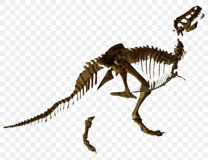 Tyrannosaurus Skeleton Velociraptor Dinosaur Animal, PNG, 936x720px, Tyrannosaurus, Animal, Animal Figure, Bone, Computer Software Download Free