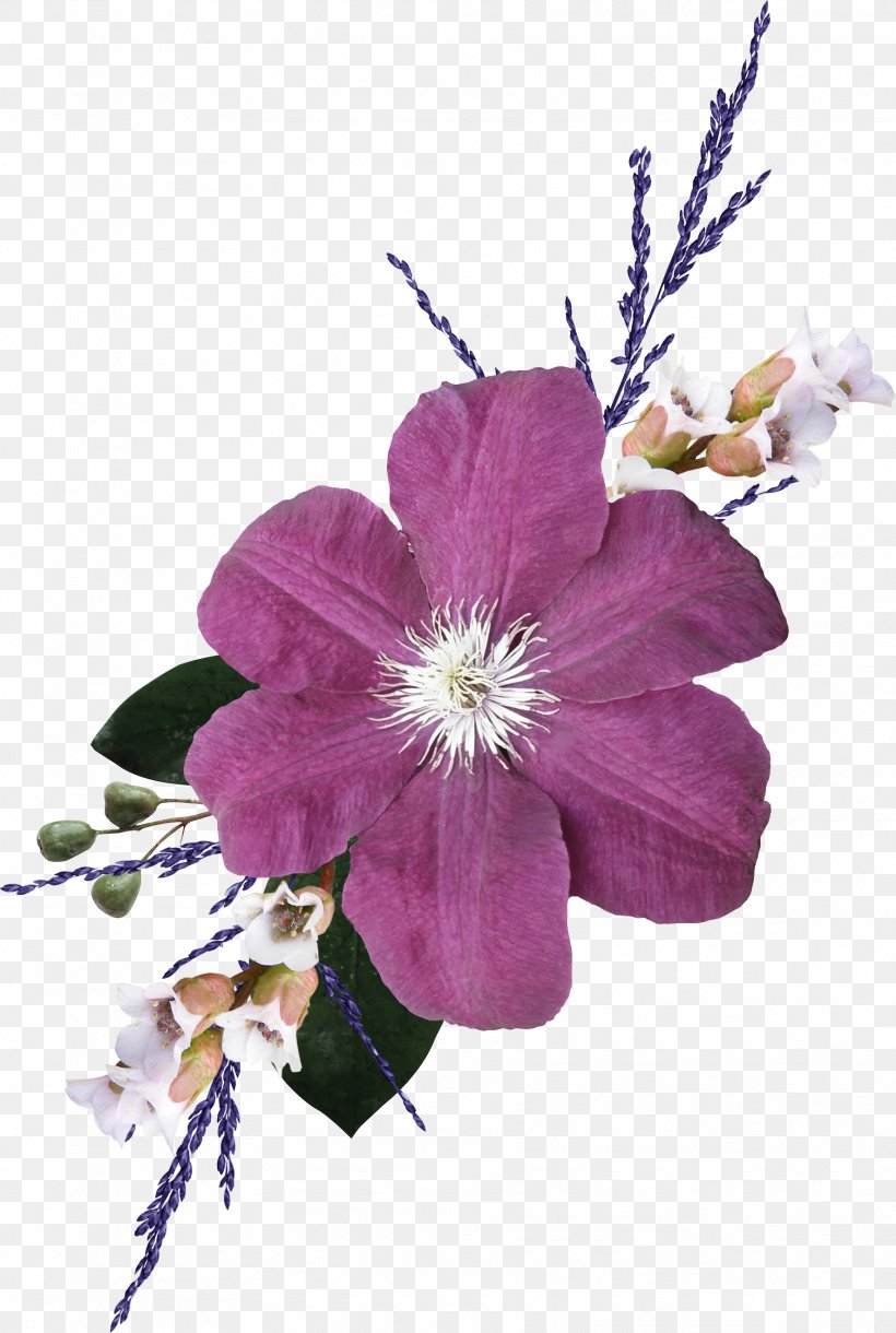 Cut Flowers Ornament Blume Petal, PNG, 1772x2638px, Flower, Art, Blossom, Blume, Cadichon Download Free