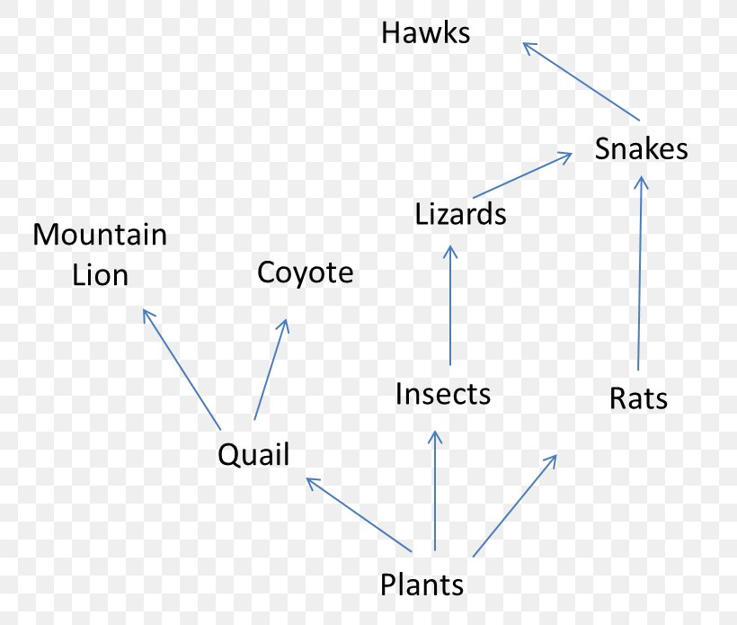 Line Point Angle, PNG, 796x695px, Point, Area, Blue, Diagram, Plot Download Free