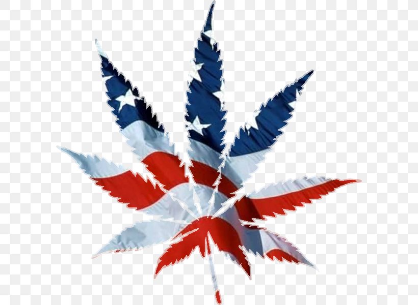 United States Medical Cannabis Hash, Marihuana & Hemp Museum, PNG, 600x600px, United States, Cannabis, Cannabis Cultivation, Cannabis Industry, Flag Of The United States Download Free