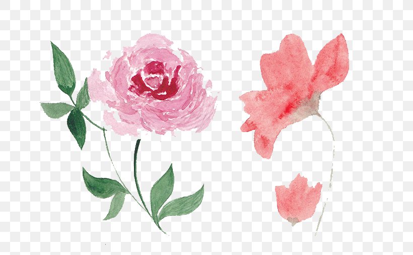 Watercolor: Flowers Watercolor Painting Clip Art Stock.xchng, PNG, 711x506px, Watercolor Flowers, Art, Cut Flowers, Drawing, Flora Download Free
