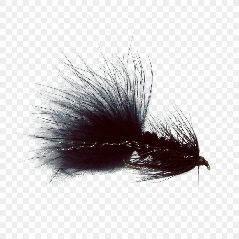 Woolly Bugger Artificial Fly Insect Fly Fishing, PNG, 2448x2448px, Woolly Bugger, Artificial Fly, Bait, Bait Fish, Bugger Download Free