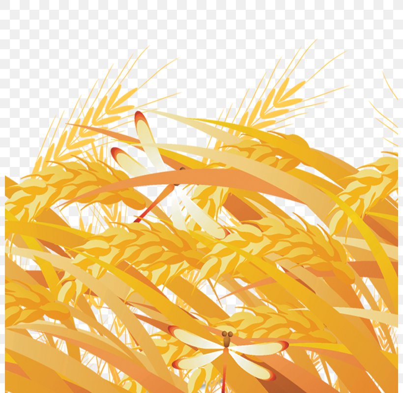 Yellow Grasses Fundal, PNG, 800x800px, Yellow, Commodity, Coreldraw, Fundal, Gold Download Free