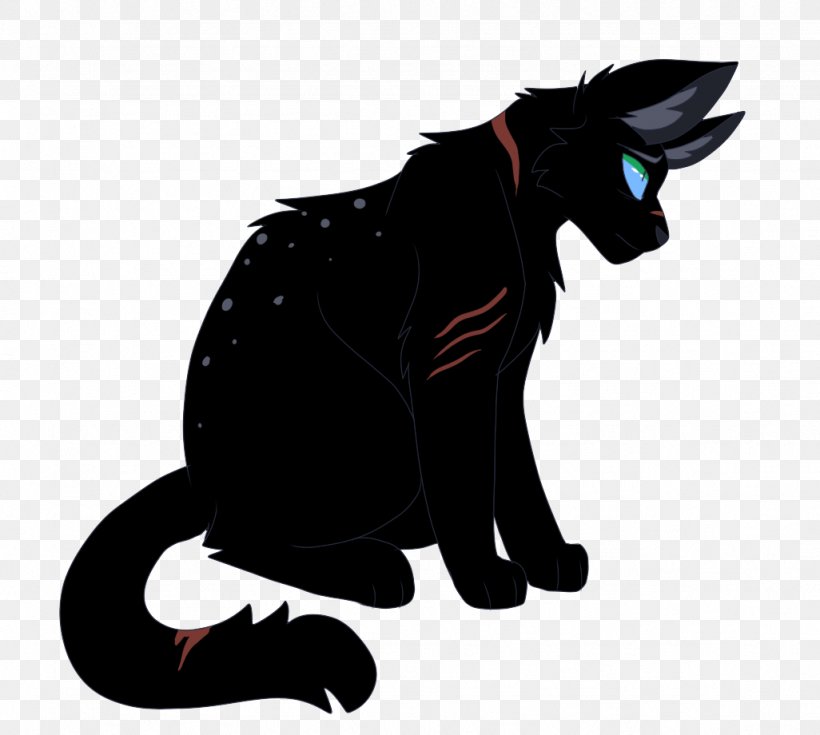 Black Cat Whiskers Golden State Warriors Nightstar, PNG, 1026x920px, Black Cat, Black, Carnivoran, Cat, Cat Like Mammal Download Free