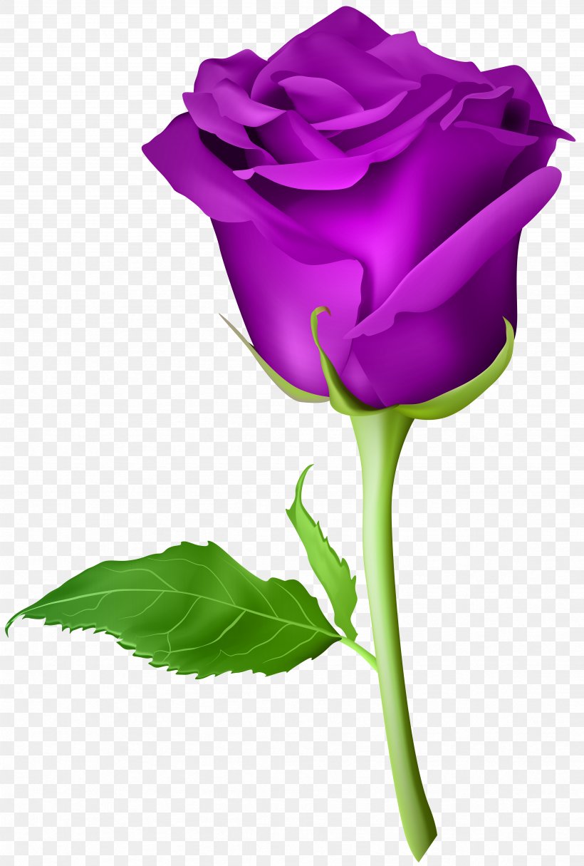 Blue Rose Artificial Flower, PNG, 4721x7000px, Rose, Blue, Blue Rose, Bud, Close Up Download Free