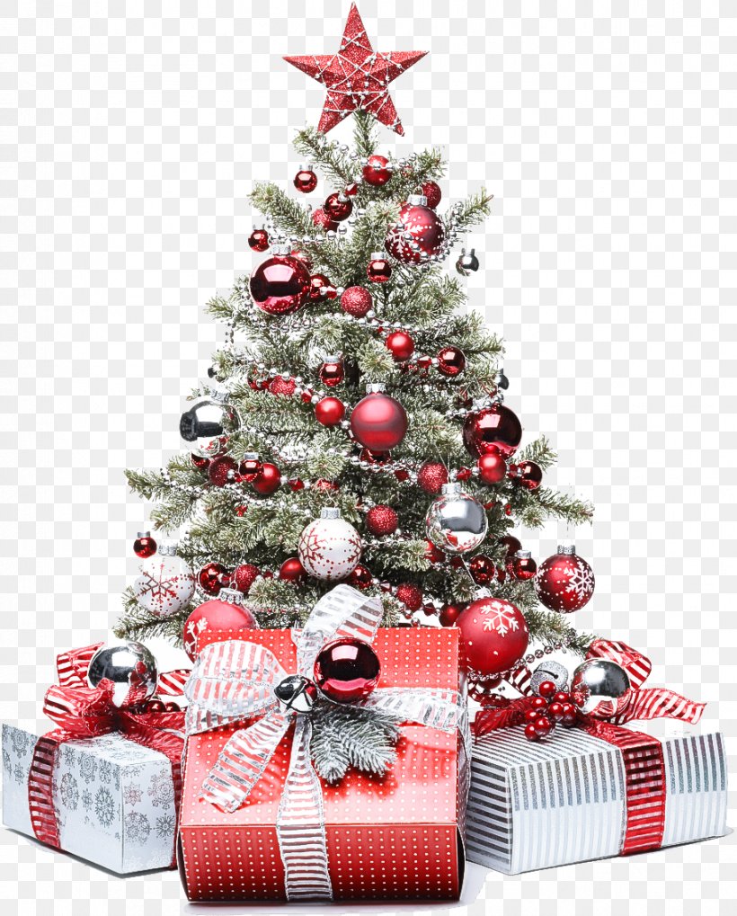 Christmas Tree, PNG, 912x1134px, Christmas Tree, Christmas, Christmas Decoration, Christmas Eve, Christmas Ornament Download Free