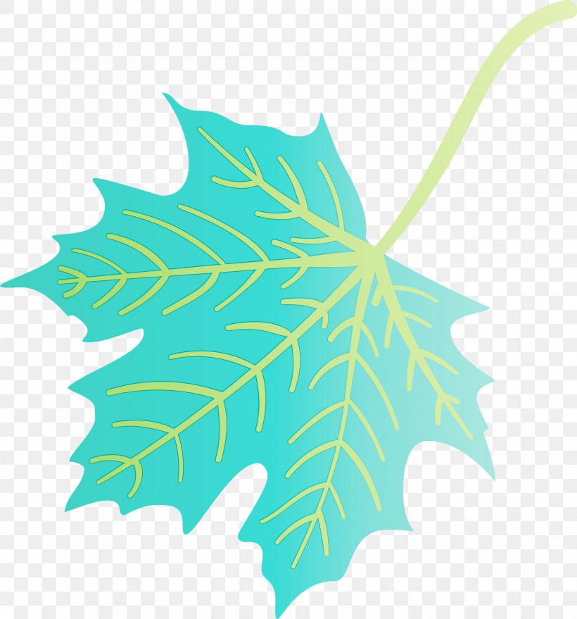 Plant Stem Leaf Green Line Plants, PNG, 2796x3000px, Autumn Leaf, Biology, Colorful Leaf, Colorful Leaves, Colourful Foliage Download Free