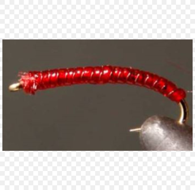 Worm, PNG, 800x800px, Worm, Red Download Free