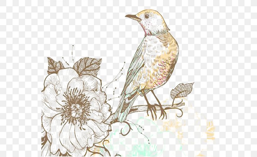 Classical Floral Pattern Background Shading Bird Pictures, PNG, 555x500px, Bird, Art, Beak, Branch, Bullfinch Download Free