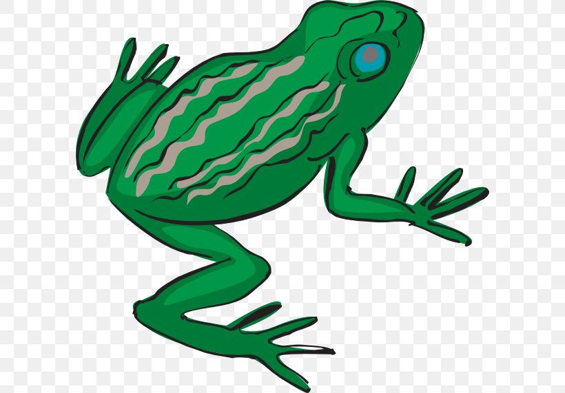 Frog Legs Drawing Clip Art, PNG, 600x571px, Frog, Amphibian, Art, Artwork, Cartoon Download Free