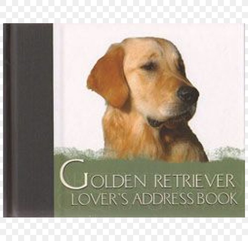 Golden Retriever Labrador Retriever Puppy Dog Breed Broholmer, PNG, 800x800px, Golden Retriever, Book, Breed, Broholmer, Carnivoran Download Free