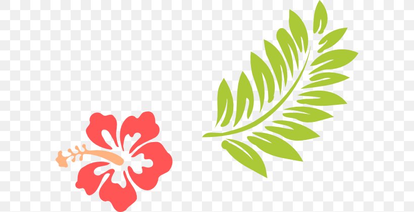 Hawaii Rosemallows Drawing Flower Clip Art, PNG, 600x421px, Hawaii, Art, Branch, Computer, Drawing Download Free