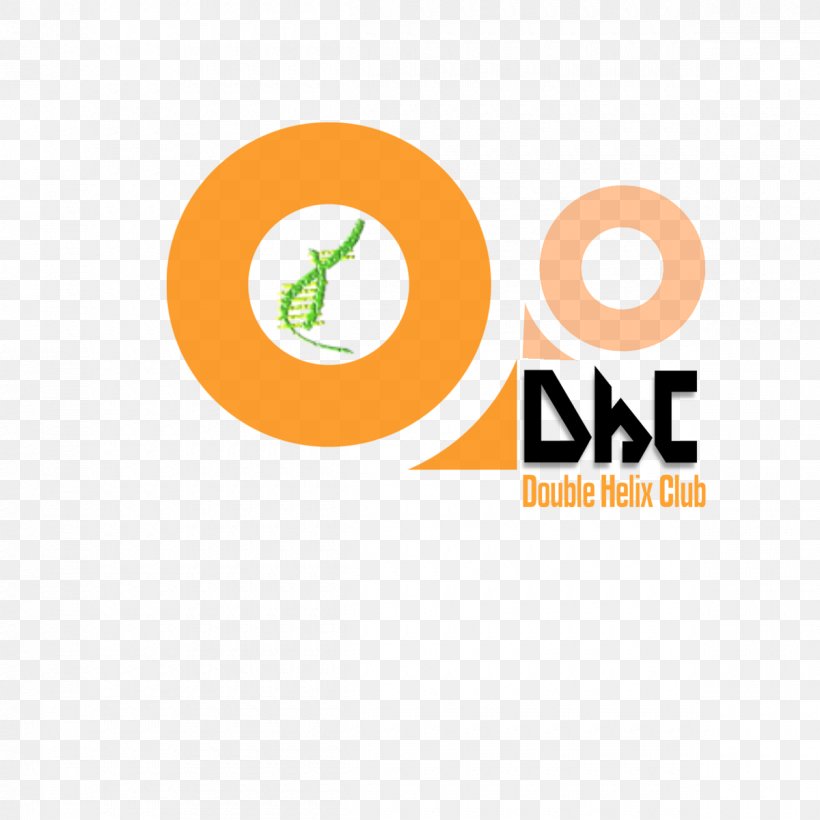 Logo Brand Font, PNG, 1200x1200px, Logo, Brand, Orange, Text, Yellow Download Free