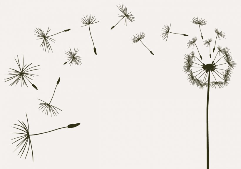 Photography Drawing Royalty-free, PNG, 1260x882px, Photography, Black And White, Branch, Dandelion, Drawing Download Free