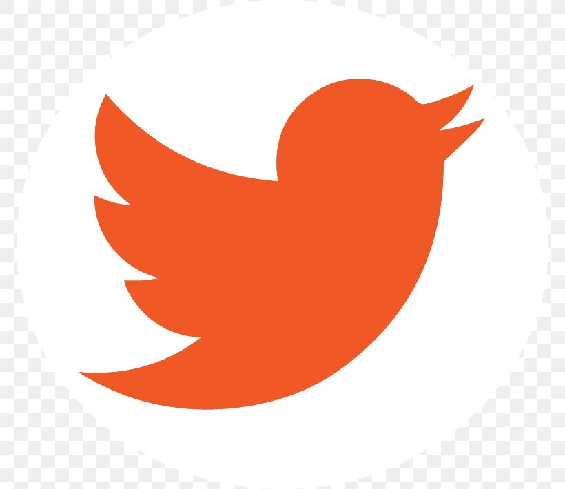Social Media Image Logo, PNG, 772x710px, 2018, Social Media, Beak, Bird, Canva Download Free