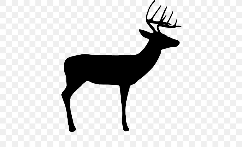 White-tailed Deer Reindeer Roe Deer Fallow Deer, PNG, 500x500px, Deer, Animal, Antelope, Antler, Chamois Download Free