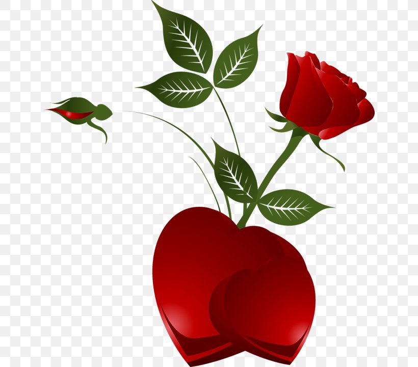Heart Rose Clip Art, PNG, 650x720px, Heart, Cut Flowers, Flora, Flower, Flowering Plant Download Free
