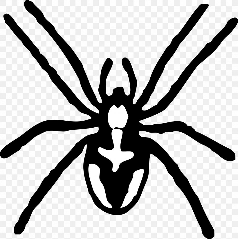 Itsy Bitsy Spider Free Content Clip Art, PNG, 2555x2563px, Spider, Animation, Arthropod, Artwork, Black And White Download Free