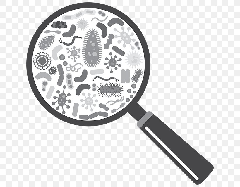 Microorganism Bacteria Virus Infection, PNG, 640x640px, Microorganism, Bacteria, Biology, Black And White, Cell Download Free