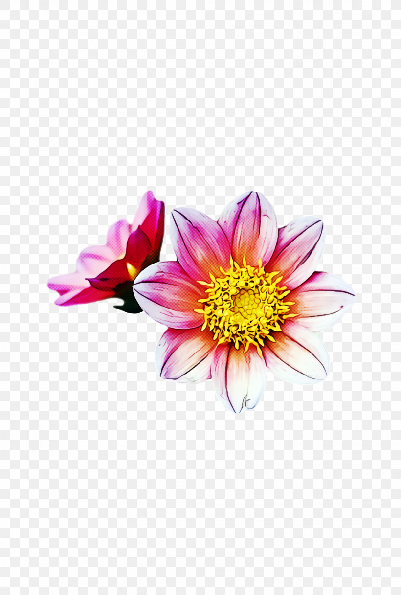Floral Design, PNG, 970x1440px, Flower, Chrysanthemum, Cut Flowers, Dahlia, Floral Design Download Free