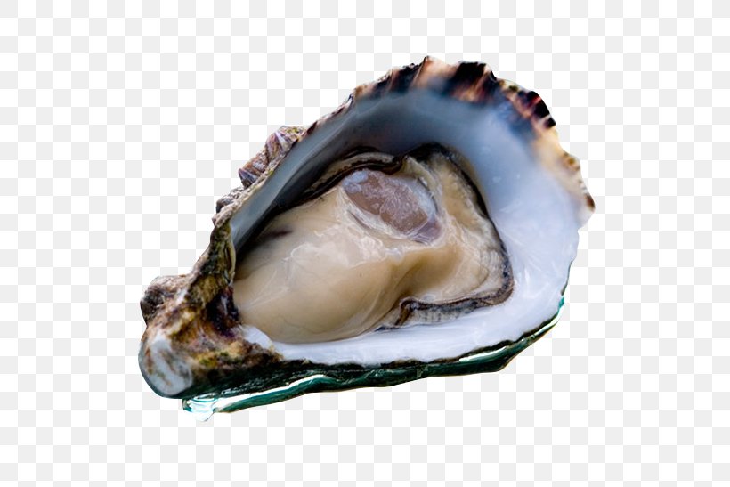 Larner's Oyster Supplies Coffin Bay Seafood Clam, PNG, 730x547px, Oyster, Abalone, Animal Source Foods, Clam, Clams Oysters Mussels And Scallops Download Free