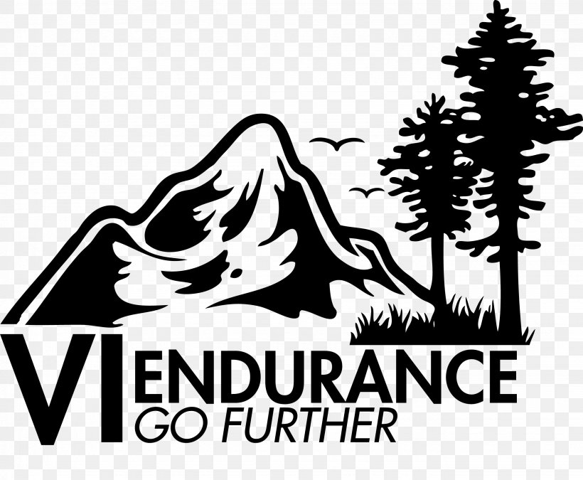 Logo Trail Running Racing, PNG, 2670x2198px, 2016, 2018, Logo, Black, Black And White Download Free