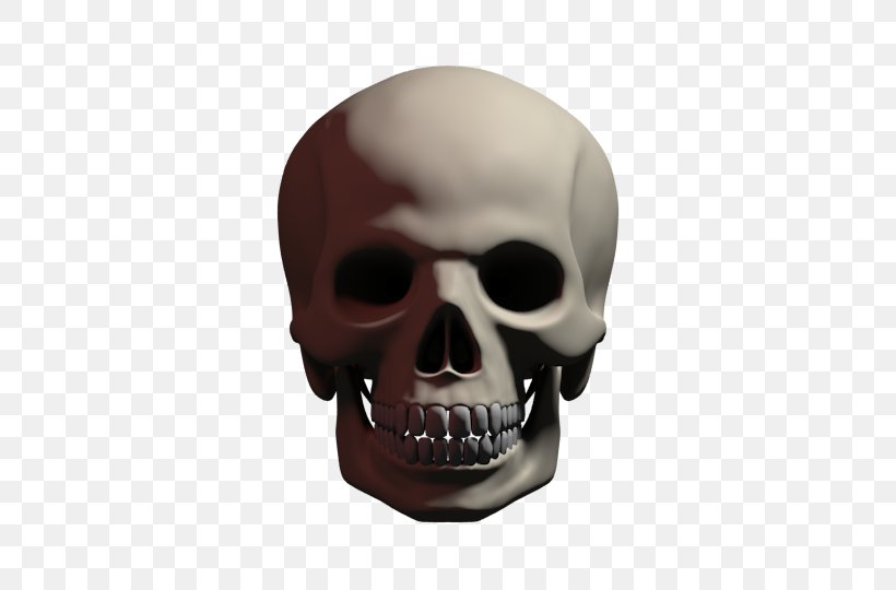 Human Skull Symbolism Skeleton Calavera Skull Art, PNG, 720x540px, Skull, Bone, Brain, Calavera, Day Of The Dead Download Free