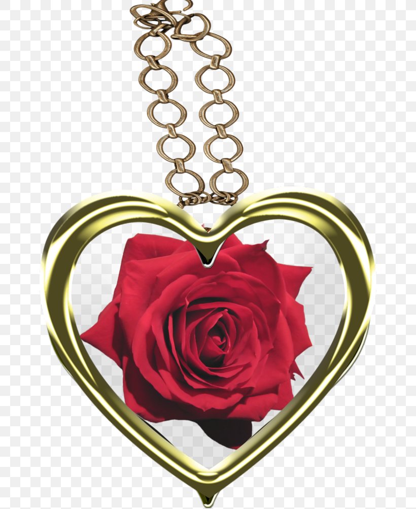 Love Heart Locket Charms & Pendants, PNG, 666x1003px, Love, Body Jewelry, Chain, Charms Pendants, Cut Flowers Download Free