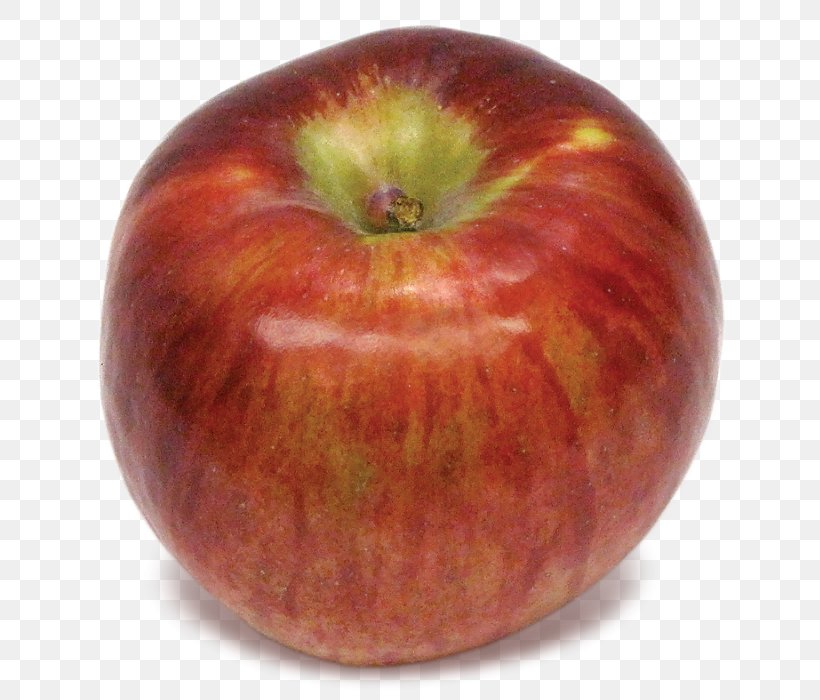 McIntosh Cortland Apple Pie New England, PNG, 685x700px, Mcintosh