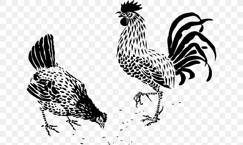 Cochin Chicken Brahma Chicken Rooster Drawing Hen, PNG, 640x488px, Cochin Chicken, Art, Beak, Bird, Black And White Download Free