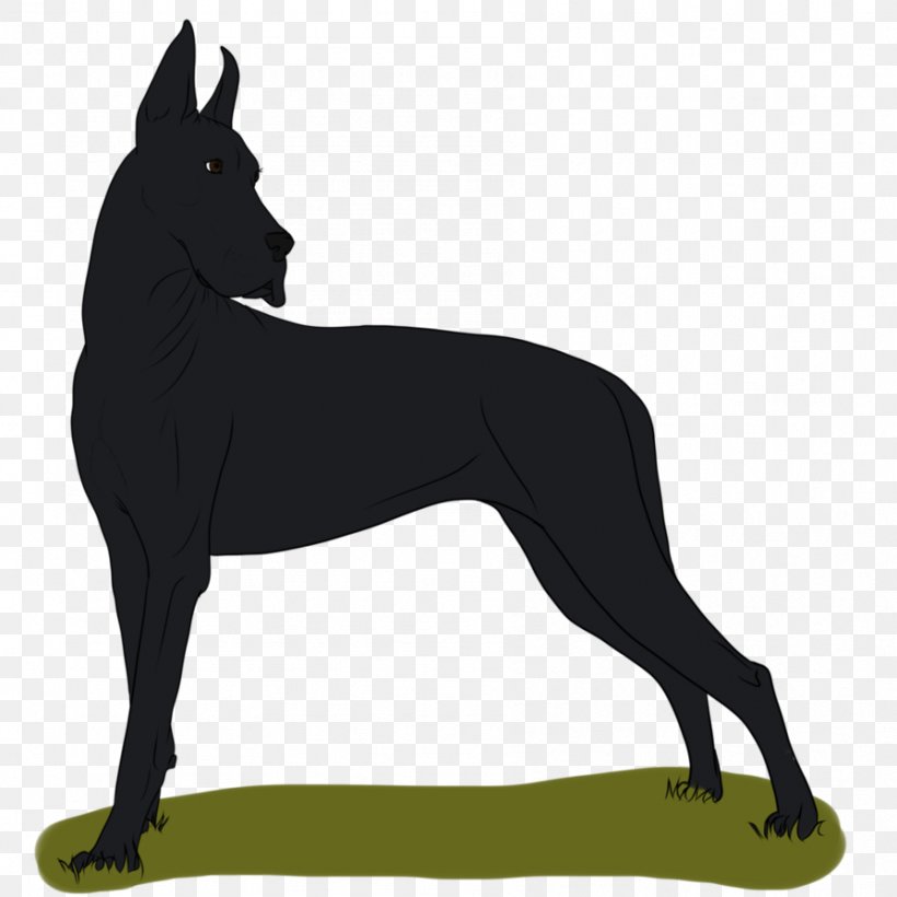 Great Dane Dog Breed Non-sporting Group Breed Group (dog), PNG, 894x894px, Great Dane, Black, Black And White, Breed, Breed Group Dog Download Free