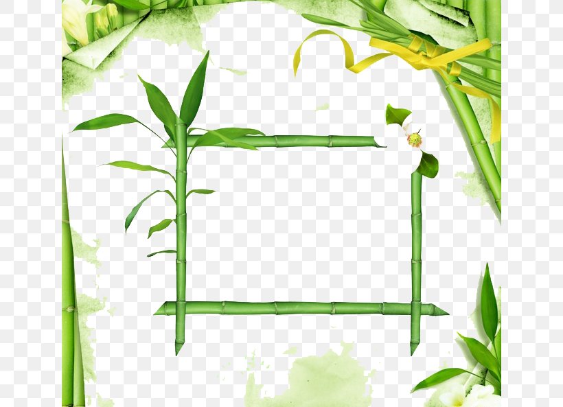 Lucky Bamboo, PNG, 640x593px, Lucky Bamboo, Area, Bamboo, Branch, Chinoiserie Download Free