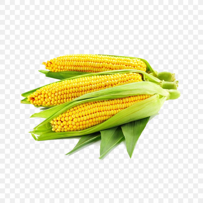 Maize Photography Ear, PNG, 1181x1181px, Maize, Banco De Imagens, Clipping Path, Commodity, Corn On The Cob Download Free