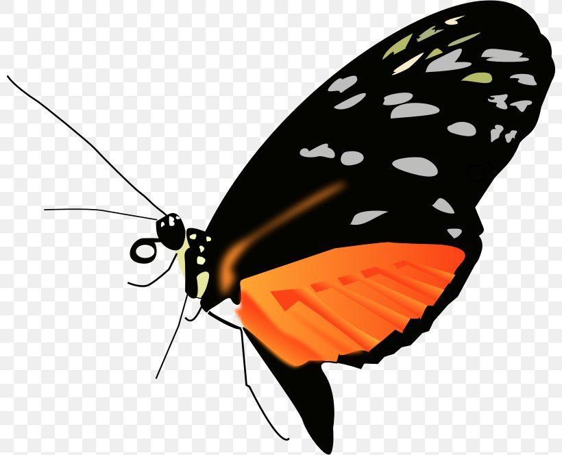 Monarch Butterfly Clip Art, PNG, 800x664px, Butterfly, Animal, Arthropod, Brush Footed Butterfly, Butterflies And Moths Download Free
