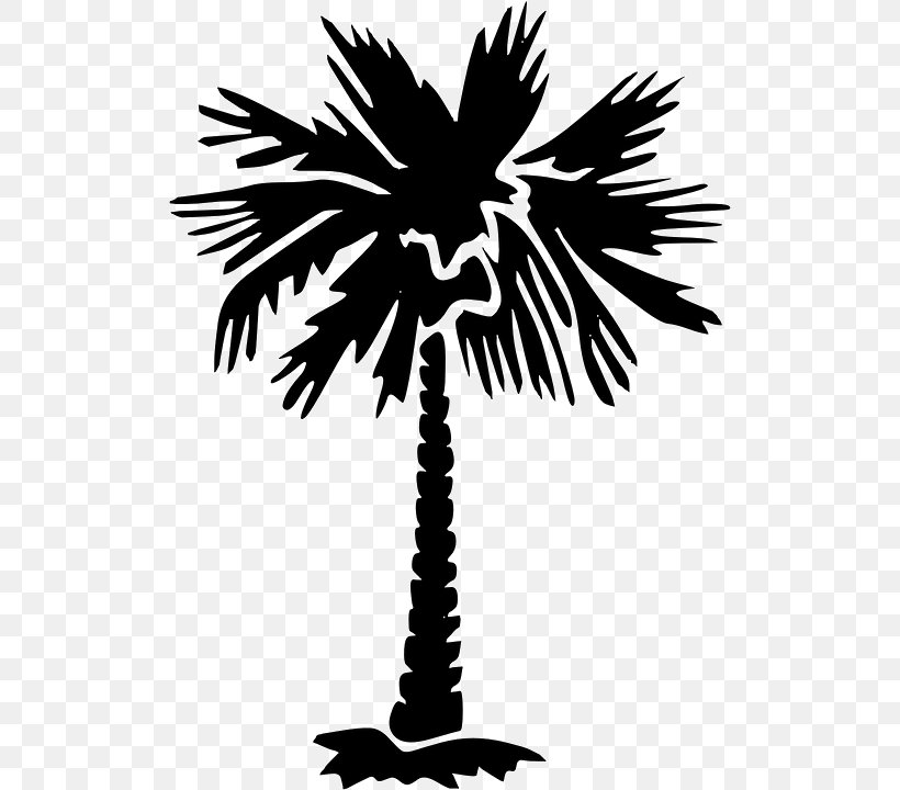 Sabal Palm Arecaceae Tree Clip Art, PNG, 512x720px, Sabal Palm, Arecaceae, Arecales, Black And White, Borassus Flabellifer Download Free