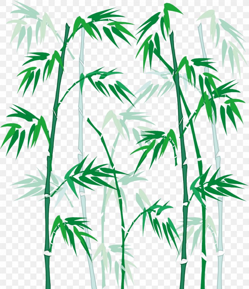 Bamboo Cartoon, PNG, 1500x1740px, Bamboo, Arecales, Art, Branch, Cartoon Download Free