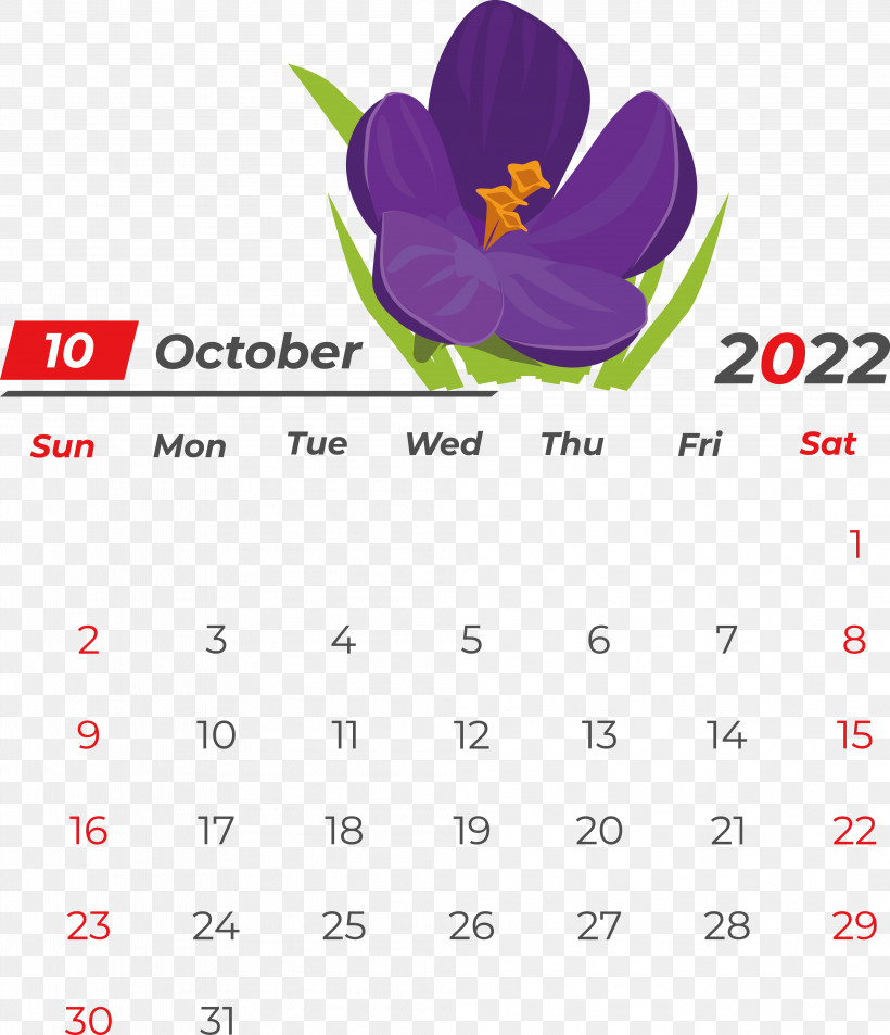 Calendar Flower Magenta Meter, PNG, 3974x4623px, Calendar, Flower, Magenta, Meter Download Free