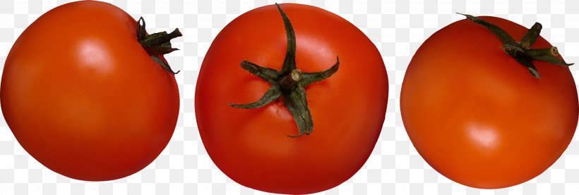 Cherry Tomato Salsa Vegetable Fruit, PNG, 2849x965px, Tomato, Bush Tomato, Data, Diospyros, Display Resolution Download Free