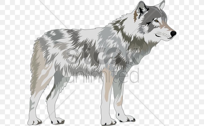 Gray Wolf Royalty-free Clip Art, PNG, 600x507px, Gray Wolf, Animal, Art, Canadian Eskimo Dog, Canidae Download Free