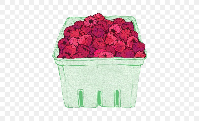 Drawing Raspberry Fruit Lemonade, PNG, 500x500px, Drawing, Blackberry, Cut Flowers, Figure Drawing, Flower Download Free